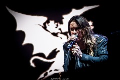 DSC6341