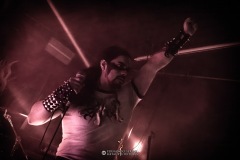 FSP2010